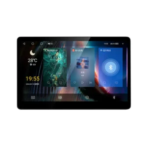 Tesla passenger screen