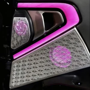 BMW Speaker Cover Panel with Ambient Lighting